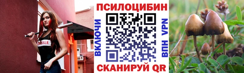 Псилоцибиновые грибы Psilocybine cubensis  закладки  Лаишево 